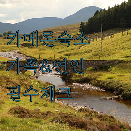 가족 여행과 연인을 위한 카메론 하이..