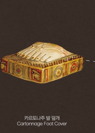 카르토나주 발 덮개