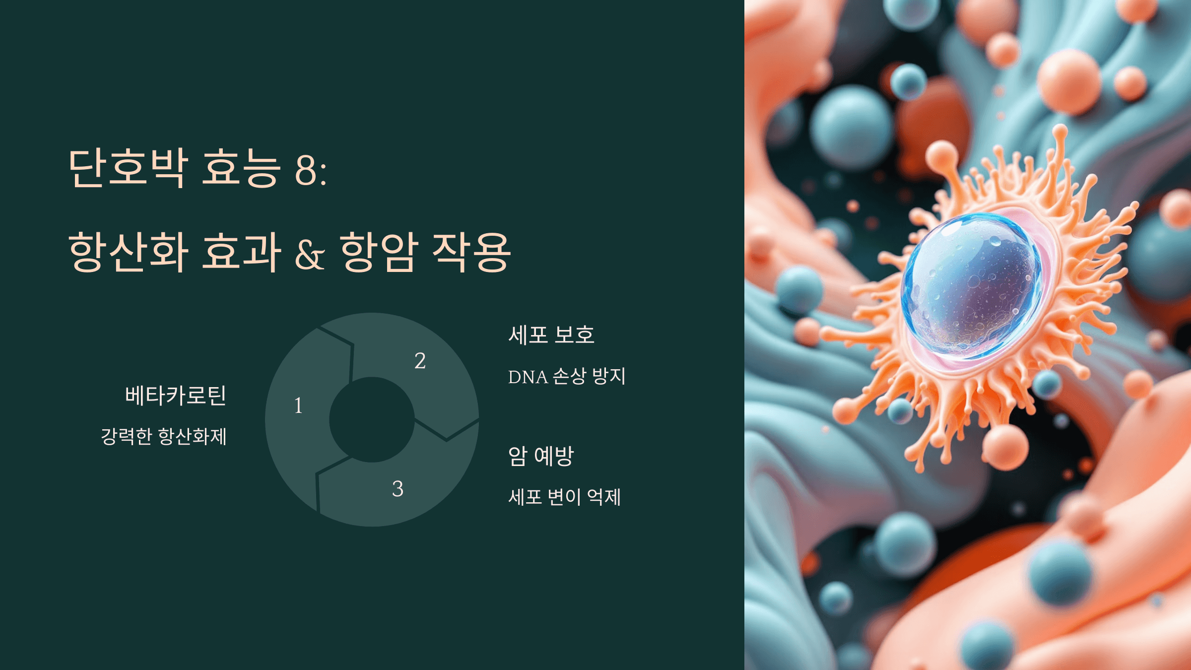 단호박 사진입니다.