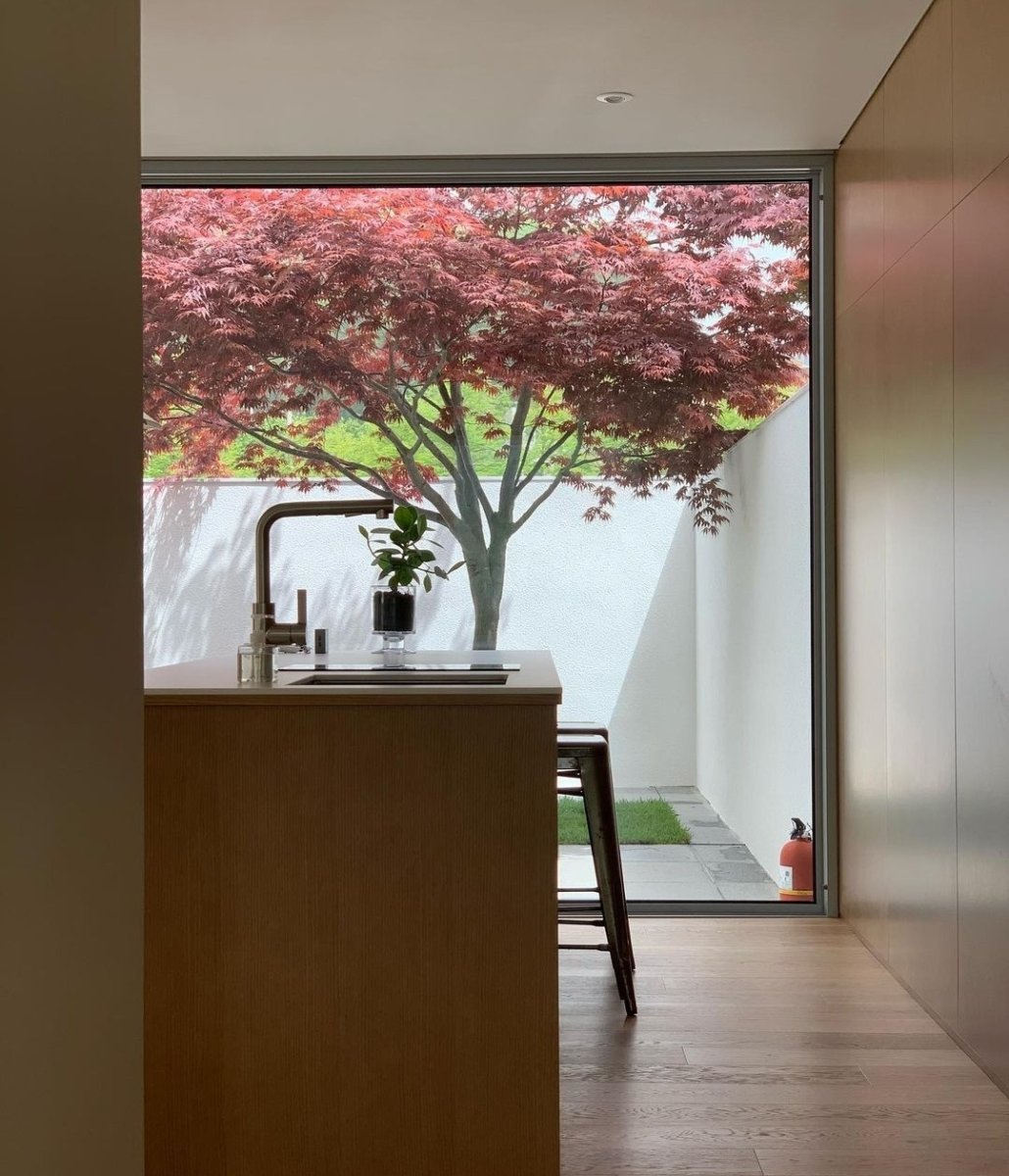 양평, 책속에 풍덩