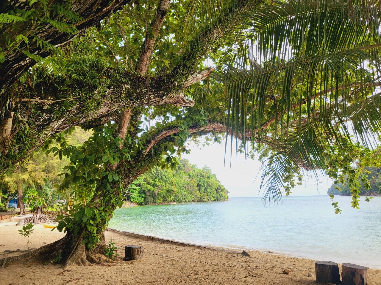 코타키나발루 말레이시아 호핑투어