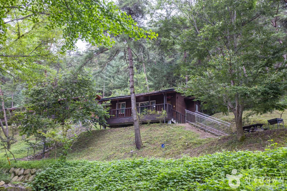 청송 가볼만한곳 베스트10