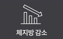 푸응-팻버닝과-나이트버닝의-실제-효과-내돈내산-후기