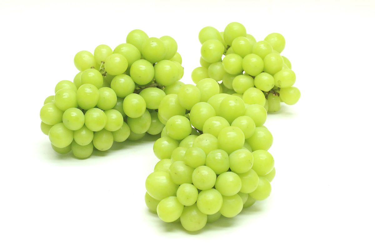 망고포도 샤인머스켓