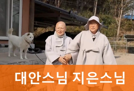 대안스님 프로필