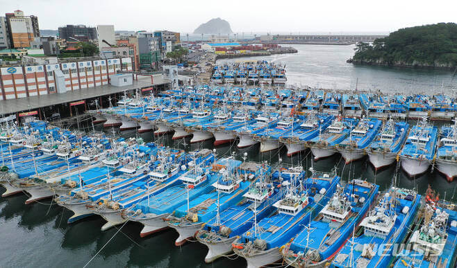 제주도 항구에 배들이 정박되어 있는 모습