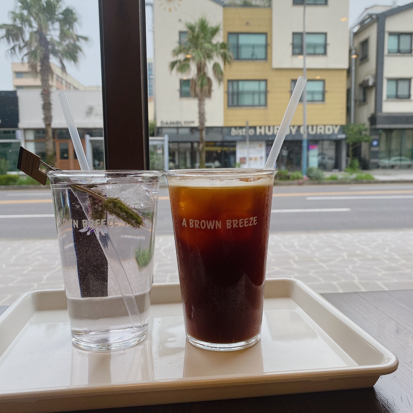 제주 일도이동 신산공원 어브라운브리즈 A brown breeze 카페 추천 리뷰 제주도민 맛집