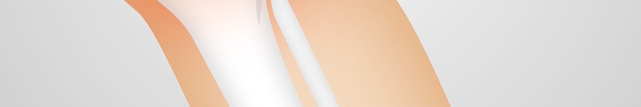 콘드로이친 효능 이미지