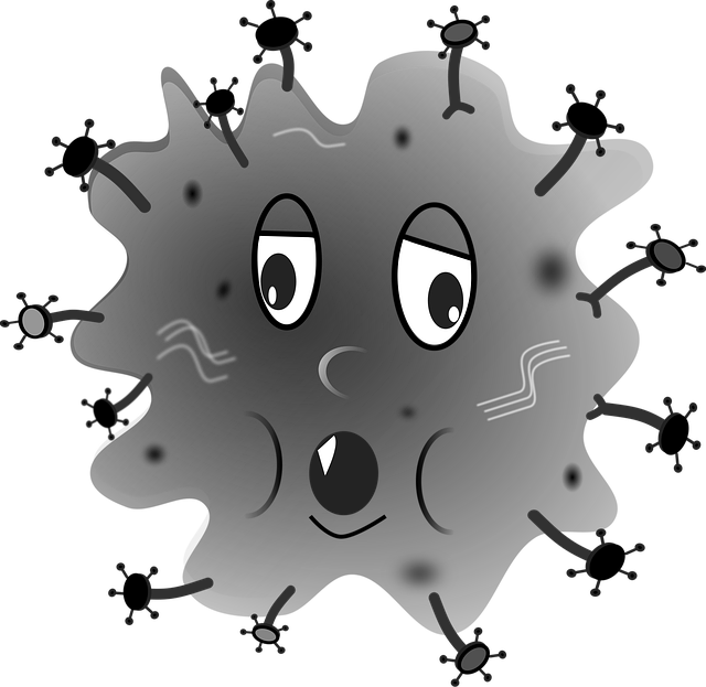 감기와 독감의 차이 - 증상&middot;원인&middot;예방까지 