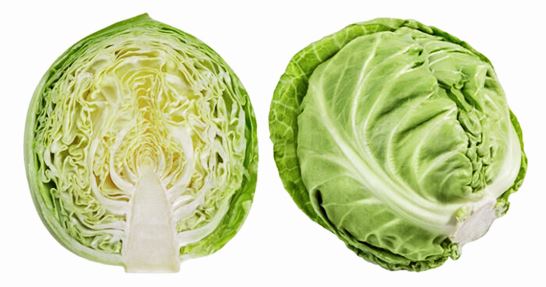 양배추 효능