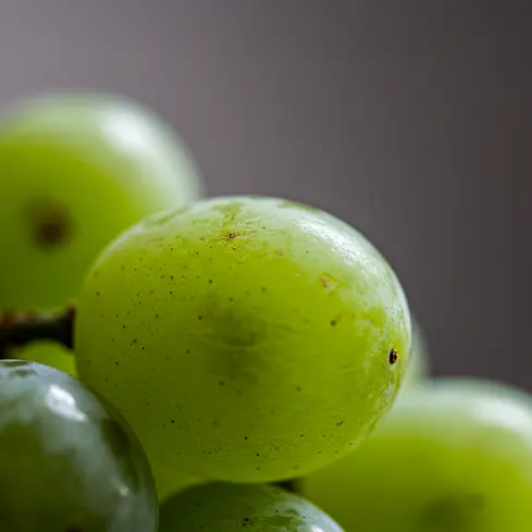 포도 껍질 먹어도 되나요