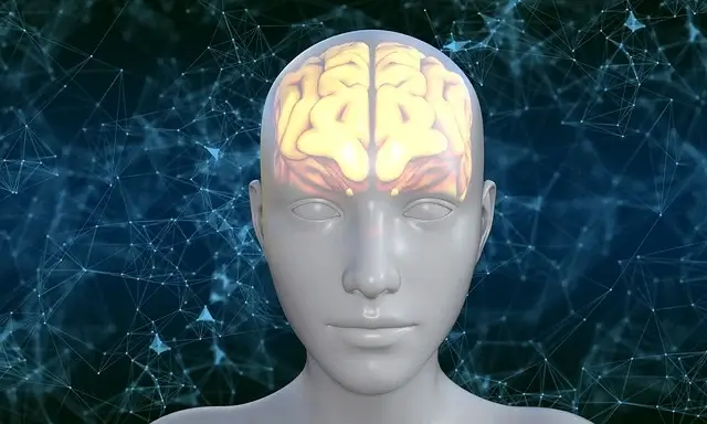 뇌경색 환자에게 추천하는 뇌경색 예방 식단