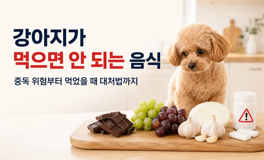 강아지가 먹으면 안 되는 초콜릿, 포도, 양파, 마늘과 음식 중독 대처법 안내 이미지