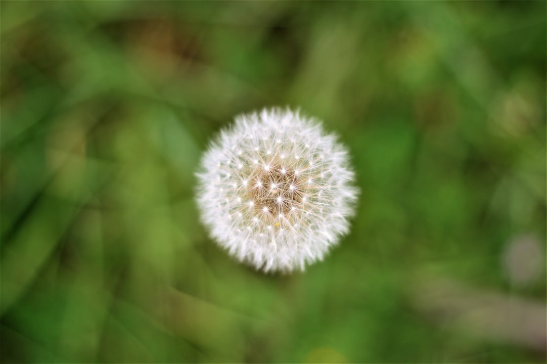 Wishing