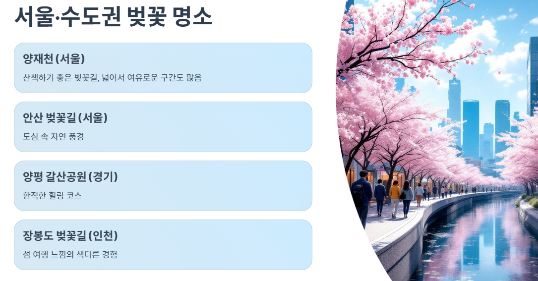 서울·수도권 벚꽃 명소 추천