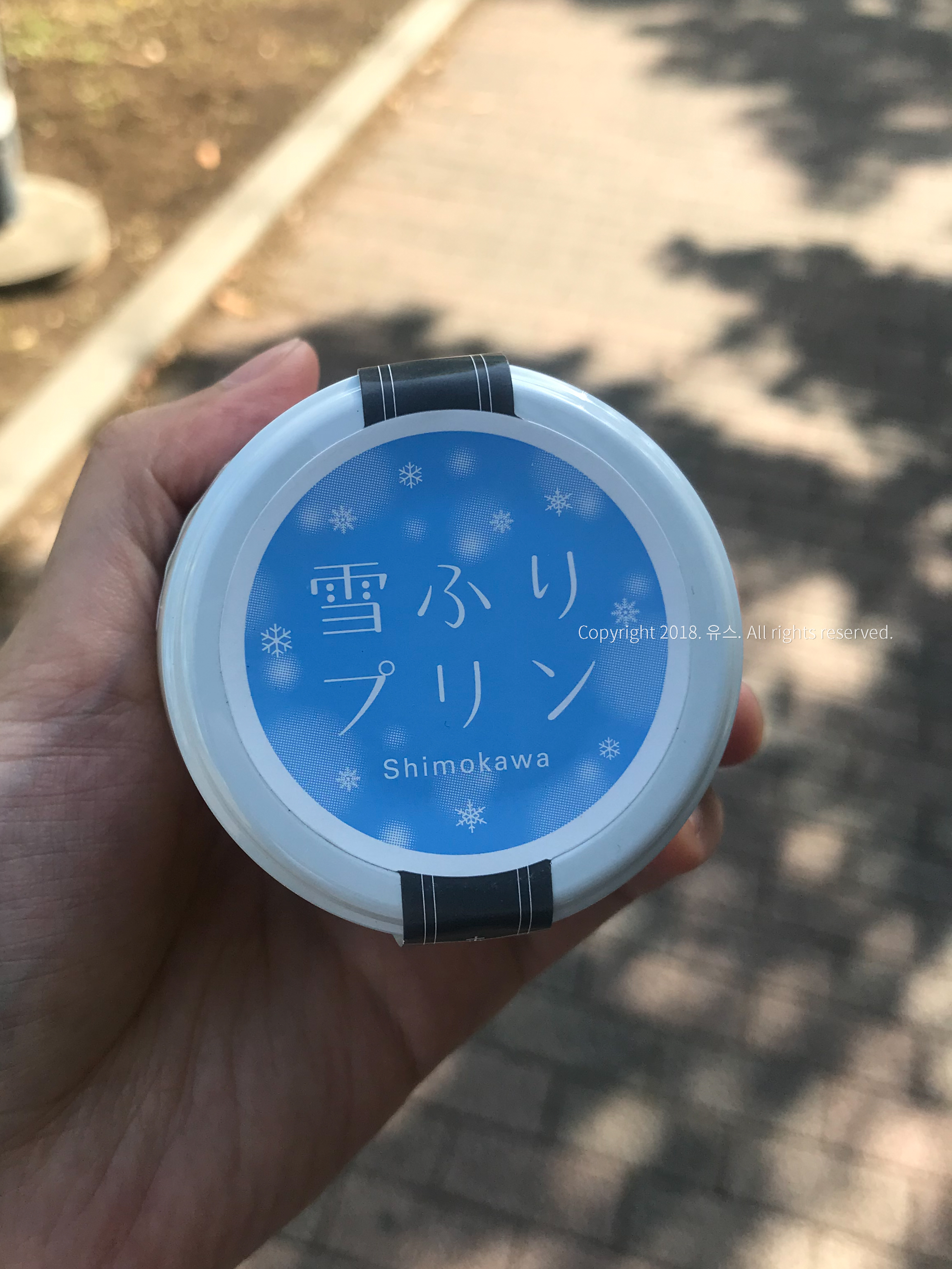 도쿄 유학