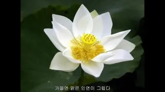 좋은글과 좋은음악이 있는곳_17