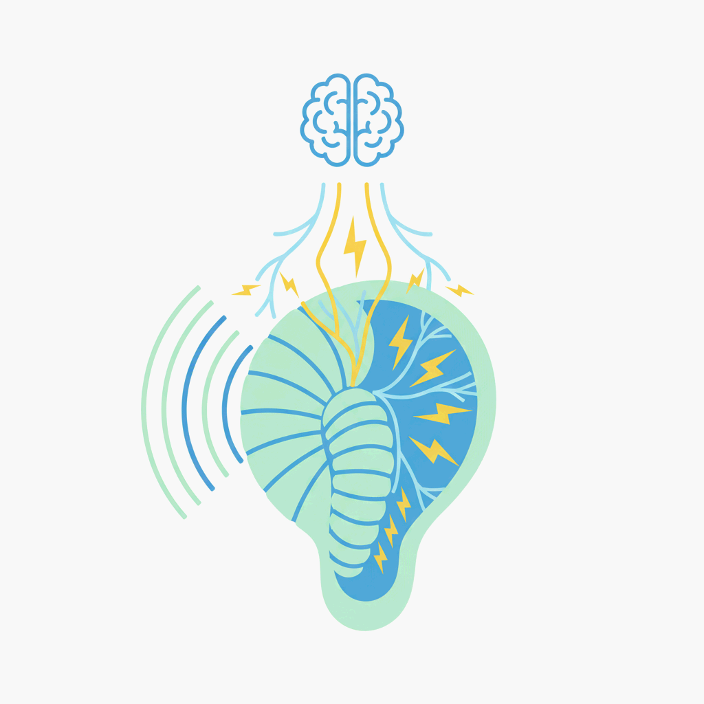 청각세포가 소리를 전기신호로 바꾸는 과정, 인체 구조와 작동 원리를 상징적으로 표현한 미니멀 과학 일러스트레이션