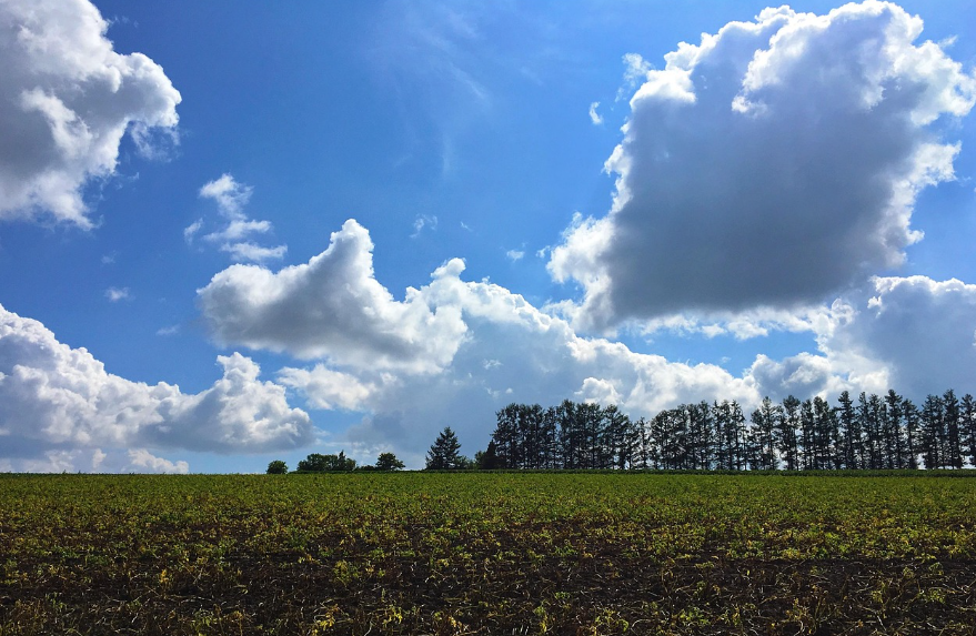 북해도 6월 날씨