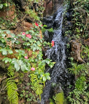 우리꽃식물원 6일간 무료 개방