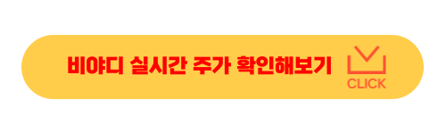 중국 전기차