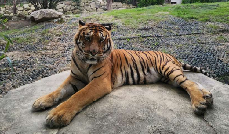 대구 네이처파크