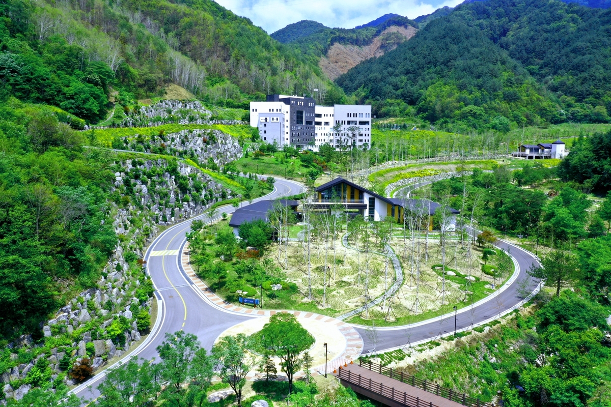 하이 힐링원 전체 이미지