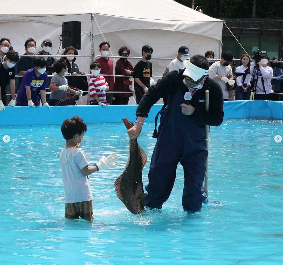 서천 자연산 광어 도미 축제 기본정보