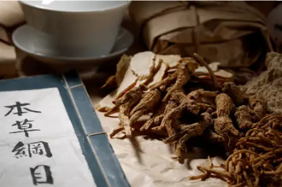 면역력 강화에 좋은 음식 12가지