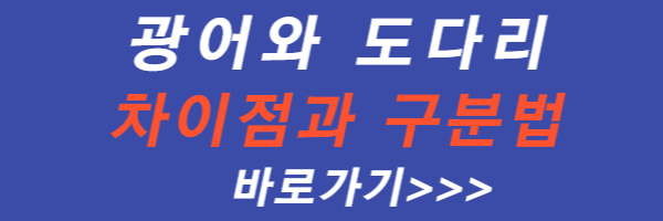 광어-도다리-구분법