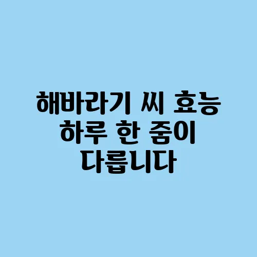 해바라기 씨 효능 하루 한 줌이 다릅니다