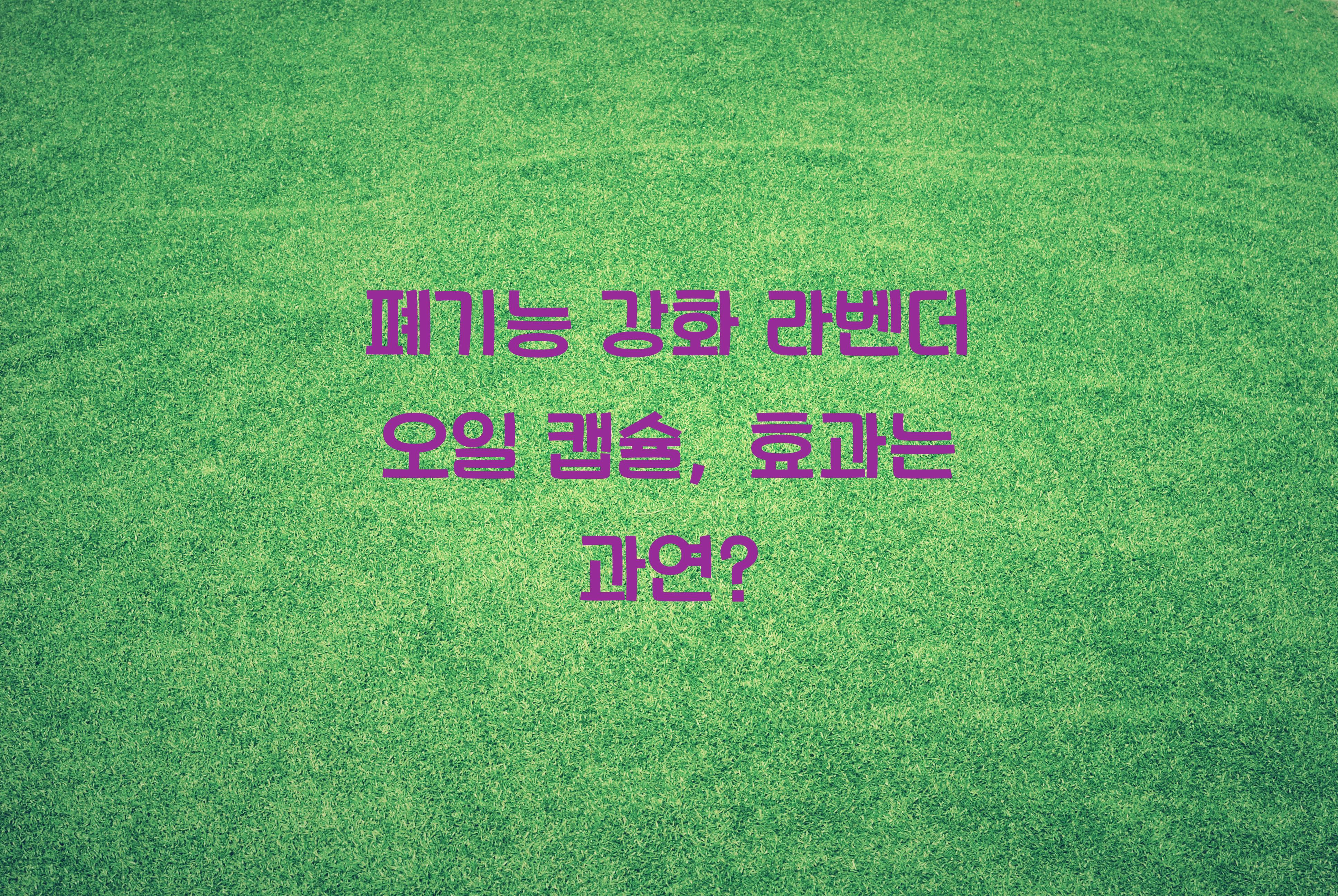 폐기능 강화 라벤더 오일 캡슐