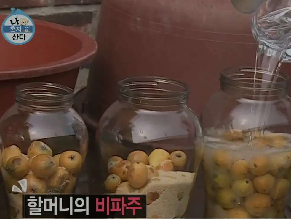 비파주2