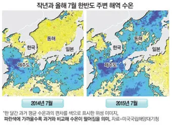 해수욕장 수온 파도 높이 바람 방향 안전한 입수 요령_9