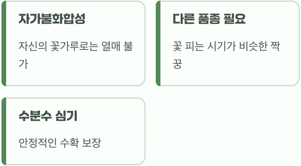 비결 2. '혼자서는 외로워요', 수분수를 심어주세요
