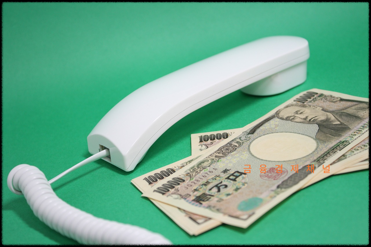 일본 중앙은행의 완화적 통화정책