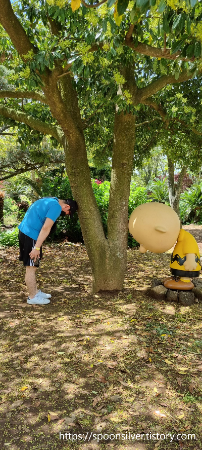 제주스누피가든