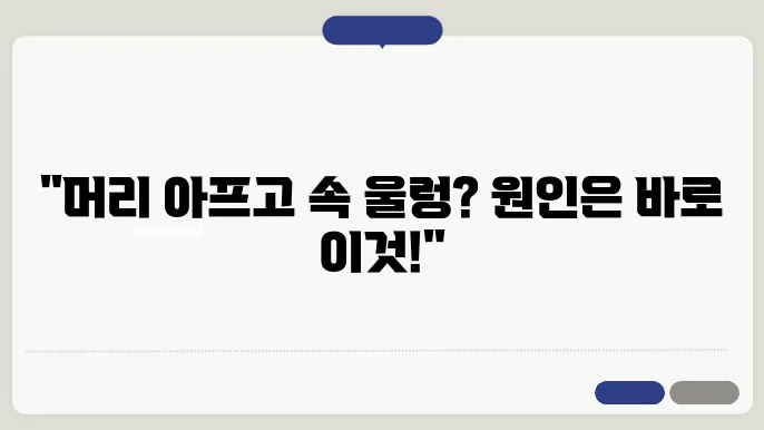 머리아프고 속울렁