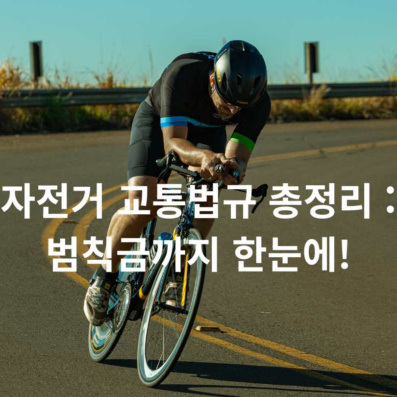 자전거 교통법규 총정리 : 범칙금까지