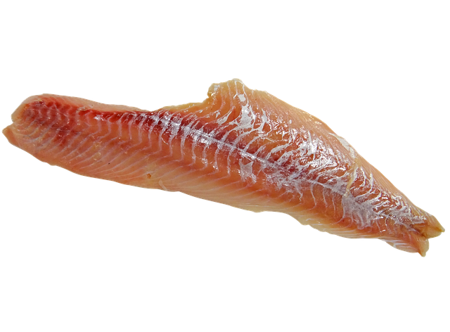 강아지 건강에 좋은 황태