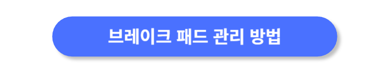 버튼