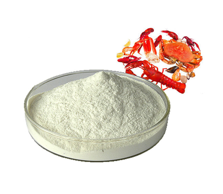 키토산-분말가루-담긴-그릇