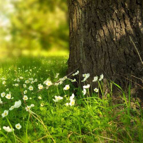 알레르기비염 원인