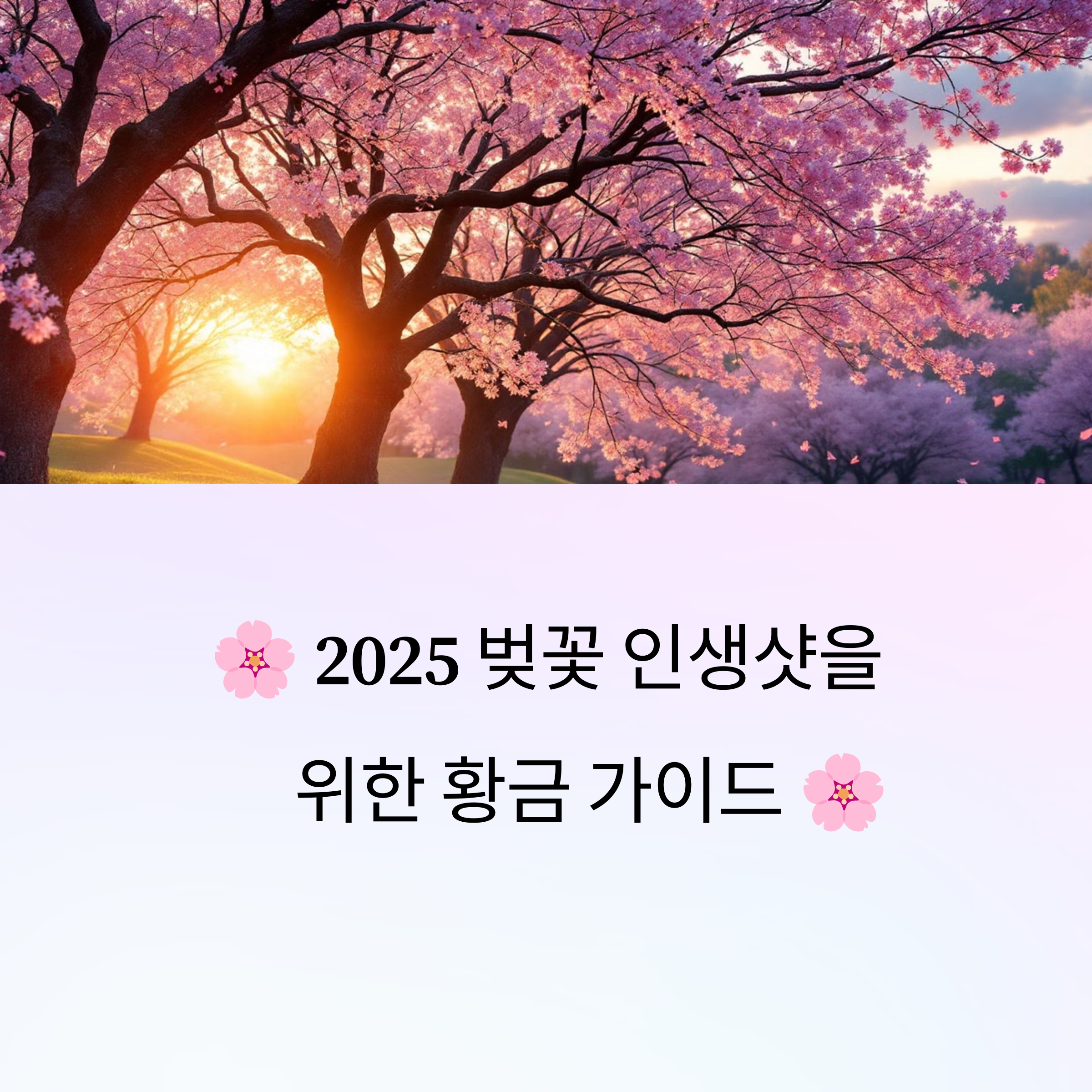 벚꽃 사진 잘 찍는 법: 인생샷 가이드 완전정리