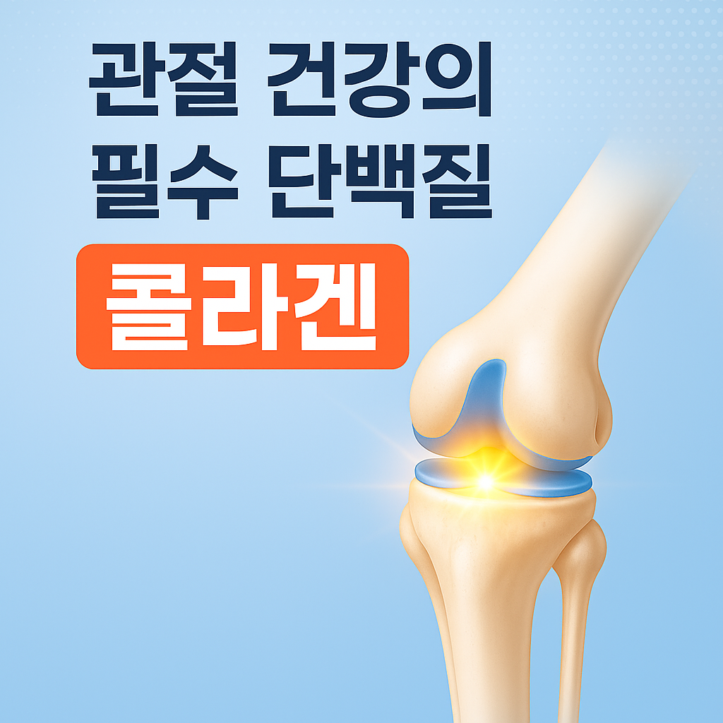 관절건강의 필수요소,콜라겐
