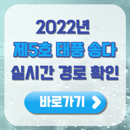송다 5호
