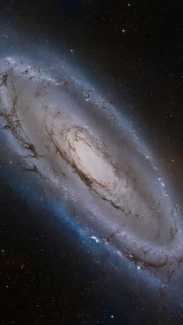 안드로메다 은하