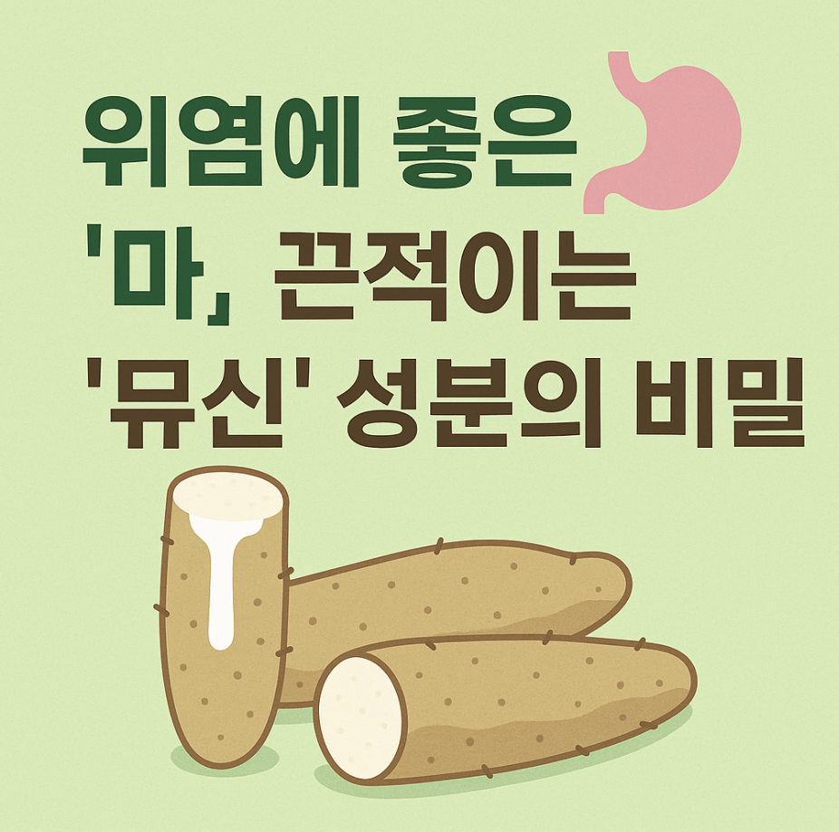 위염에 좋은 '마', 끈적이는 '뮤신' 성분의 비밀