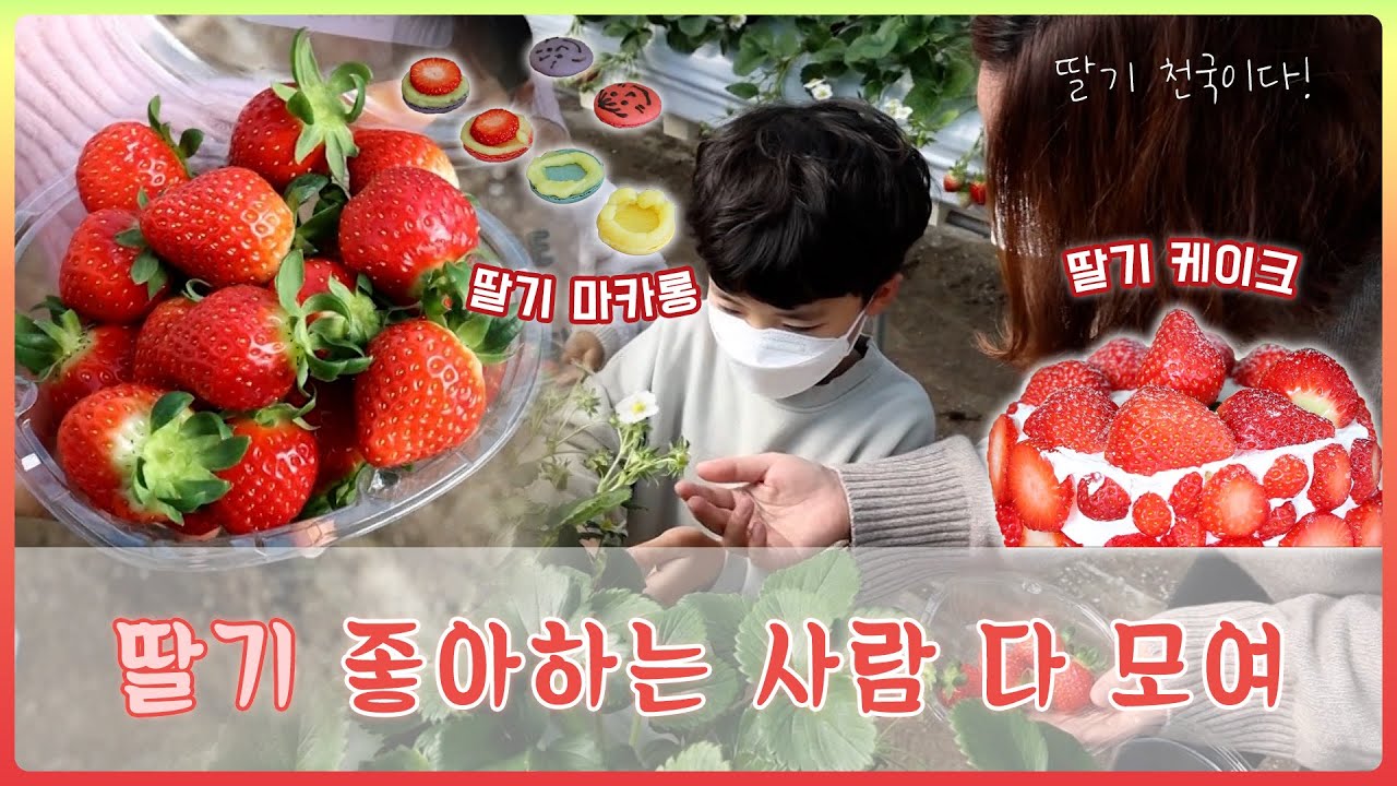 김해 가볼만한곳 - 김해가야딸기테마파크