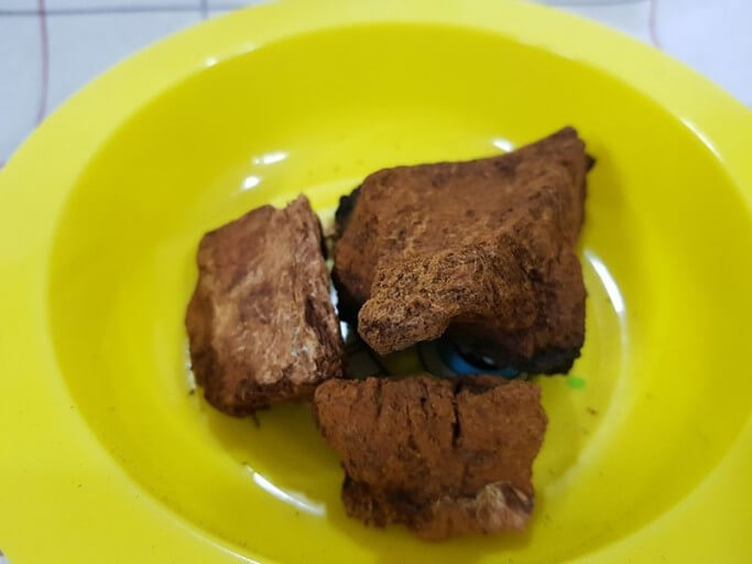 차가버섯 효능 8가지 및 부작용과 적정 권장량 차가버섯 파는 곳